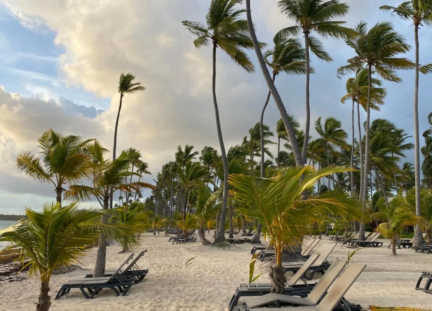 A Harmonious Place For You Close To The Beach Apartment Punta Cana 0*,