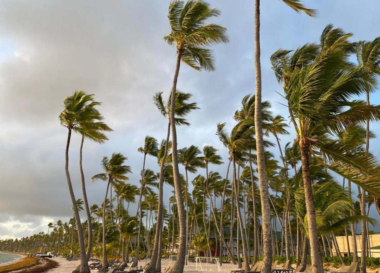 A Harmonious Place For You Close To The Beach Apartment Punta Cana