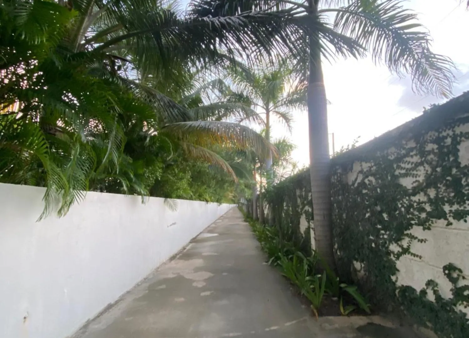 A Harmonious Place For You Close To The Beach Apartment Punta Cana